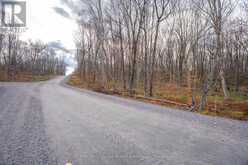 PART 7 STANDING PEOPLE ROAD | Seguin Ontario | Slide Image Eighteen