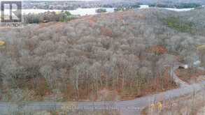 PART 7 STANDING PEOPLE ROAD | Seguin Ontario | Slide Image Six