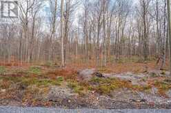 PART 19 STANDING PEOPLE ROAD | Seguin Ontario | Slide Image Ten