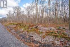 PART 19 STANDING PEOPLE ROAD | Seguin Ontario | Slide Image Eleven
