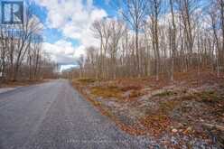 PART 19 STANDING PEOPLE ROAD | Seguin Ontario | Slide Image Thirteen