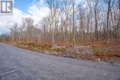 PART 19 STANDING PEOPLE ROAD | Seguin Ontario | Slide Image Fourteen