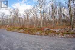 PART 19 STANDING PEOPLE ROAD | Seguin Ontario | Slide Image Fifteen