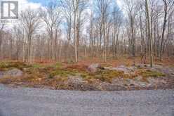 PART 19 STANDING PEOPLE ROAD | Seguin Ontario | Slide Image Sixteen