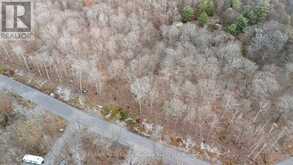 PART 19 STANDING PEOPLE ROAD | Seguin Ontario | Slide Image Two