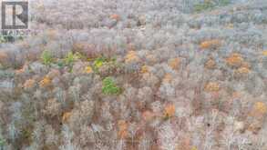 PART 19 STANDING PEOPLE ROAD | Seguin Ontario | Slide Image Six