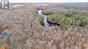 PART 19 STANDING PEOPLE ROAD | Seguin Ontario | Slide Image Eight