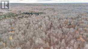 PART 19 STANDING PEOPLE ROAD | Seguin Ontario | Slide Image Nine