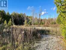 4887 HWY 6 HIGHWAY | Miller Lake Ontario | Slide Image Ten