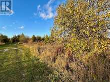 4887 HWY 6 HIGHWAY | Miller Lake Ontario | Slide Image Twenty-two