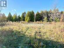 4887 HWY 6 HIGHWAY | Miller Lake Ontario | Slide Image Nine
