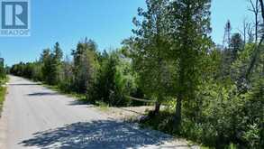 31 BAISE AVENUE | Tobermory Ontario | Slide Image Four