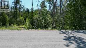 31 BAISE AVENUE | Tobermory Ontario | Slide Image Seven
