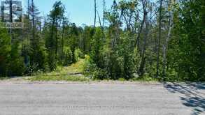 31 BAISE AVENUE | Tobermory Ontario | Slide Image Eight
