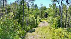 31 BAISE AVENUE | Tobermory Ontario | Slide Image Nine