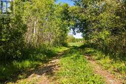 375533 6TH LINE | Amaranth Ontario | Slide Image Fifteen