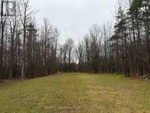 111 CARNEY STREET | Owen Sound Ontario | Slide Image Five