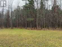 111 CARNEY STREET | Owen Sound Ontario | Slide Image Six