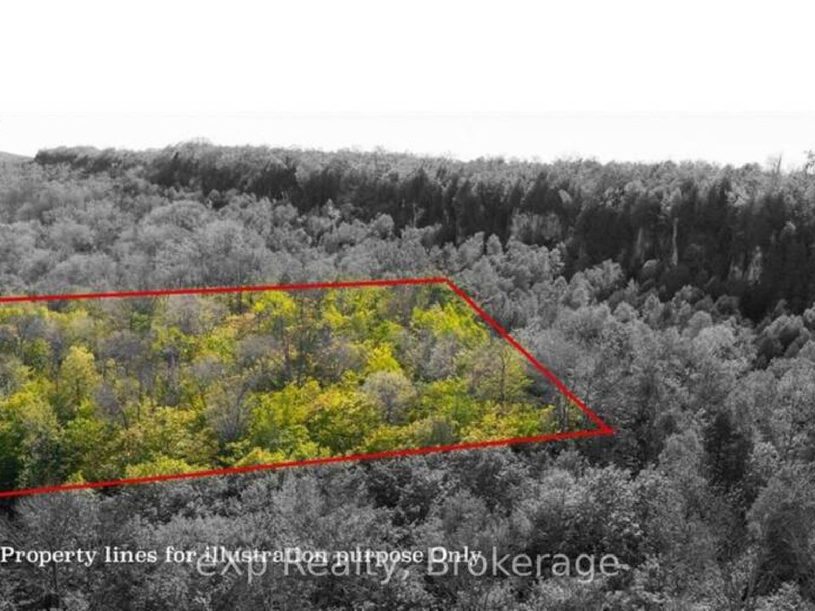 LOT 202 - 203 9TH AVENUE, Georgian Bluffs, Ontario N0H 2T0