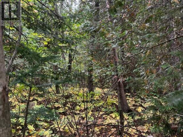 7 SHORE ROAD Southampton Ontario, N0H 2L0 - Vacant Land For Sale