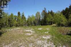 PT LT 36 WALTER CHARMAN DRIVE | Northern Bruce Peninsula Ontario | Slide Image Ten