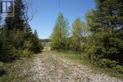 PT LT 36 WALTER CHARMAN DRIVE | Northern Bruce Peninsula Ontario | Slide Image Eleven