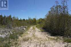 PT LT 36 WALTER CHARMAN DRIVE | Northern Bruce Peninsula Ontario | Slide Image Fifteen