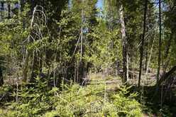 PT LT 36 WALTER CHARMAN DRIVE | Northern Bruce Peninsula Ontario | Slide Image Twenty