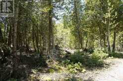PT LT 36 WALTER CHARMAN DRIVE | Northern Bruce Peninsula Ontario | Slide Image Twenty-one