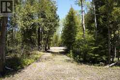 PT LT 36 WALTER CHARMAN DRIVE | Northern Bruce Peninsula Ontario | Slide Image Twenty-two