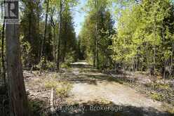 PT LT 36 WALTER CHARMAN DRIVE | Northern Bruce Peninsula Ontario | Slide Image Eighteen