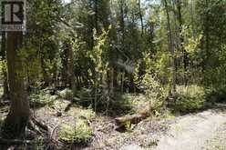 PT LT 36 WALTER CHARMAN DRIVE | Northern Bruce Peninsula Ontario | Slide Image Nineteen