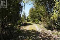 PT LT 36 WALTER CHARMAN DRIVE | Northern Bruce Peninsula Ontario | Slide Image Five