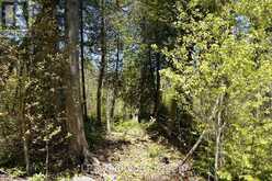 PT LT 36 WALTER CHARMAN DRIVE | Northern Bruce Peninsula Ontario | Slide Image Six