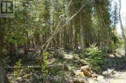 PT LT 36 WALTER CHARMAN DRIVE | Northern Bruce Peninsula Ontario | Slide Image Seven
