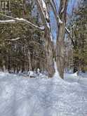 PTLT 26 MULOCK ROAD | West Grey Ontario | Slide Image Two