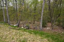 121 LOON LAKE ROAD | Sundridge Ontario | Slide Image Three