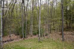 121 LOON LAKE ROAD | Sundridge Ontario | Slide Image Six