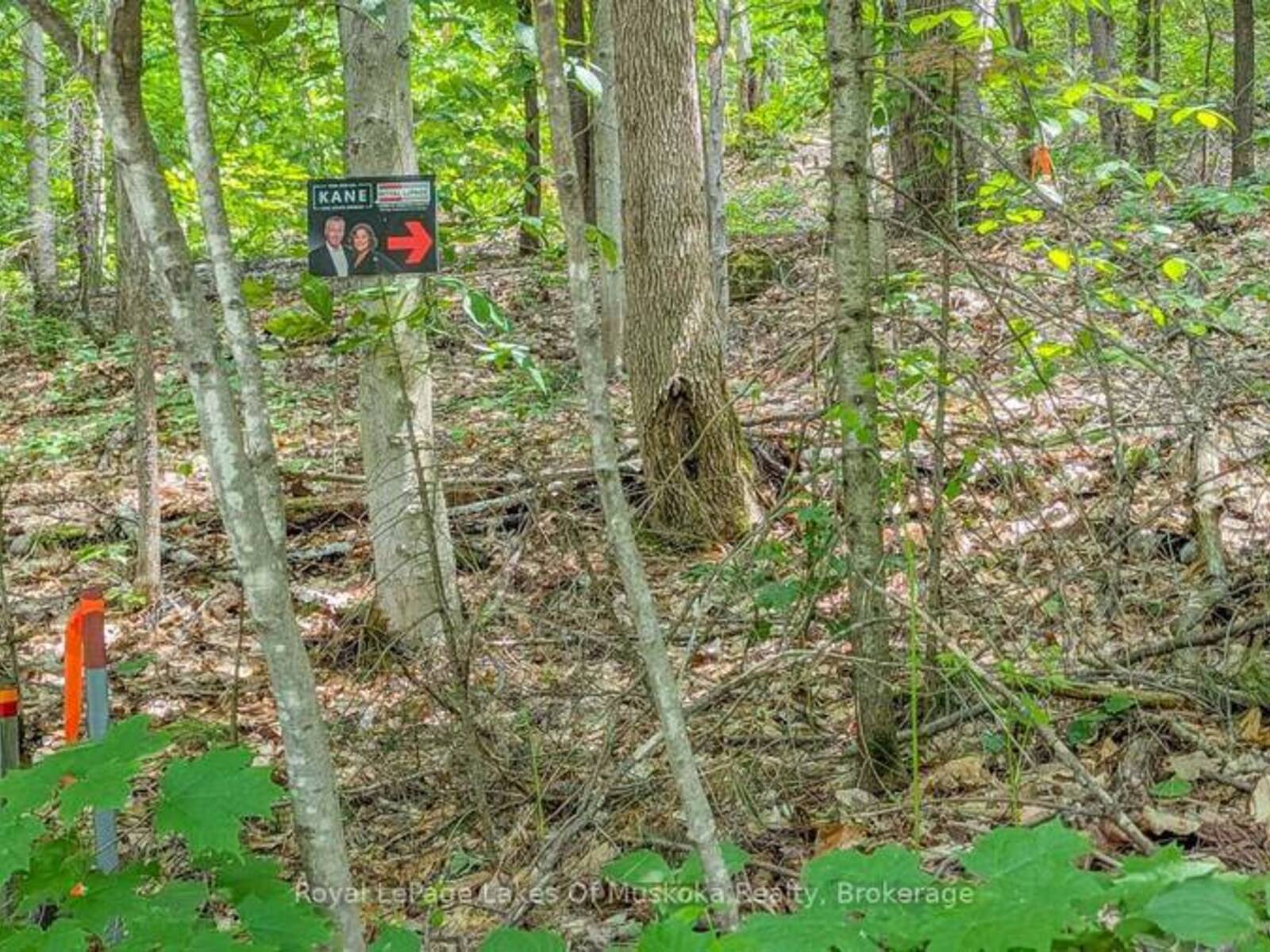 0 ROSSEAU LAKE RD 1, Utterson, Ontario P0B 1M0