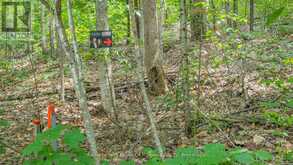 0 ROSSEAU LAKE RD 1 | Utterson Ontario | Slide Image One