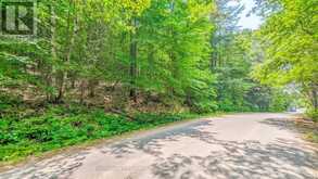 0 ROSSEAU LAKE RD 1 | Utterson Ontario | Slide Image Two