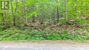 0 ROSSEAU LAKE RD 1 | Utterson Ontario | Slide Image Three
