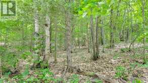 0 ROSSEAU LAKE RD 1 | Utterson Ontario | Slide Image Four