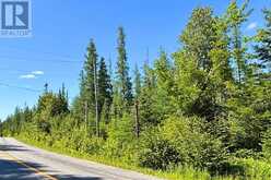 0- P1 HIGHWAY 518 W | McMurrich/Monteith Ontario | Slide Image Two