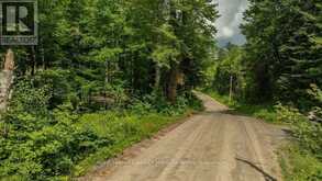 0000 RIL LAKE ROAD S | Baysville Ontario | Slide Image Two