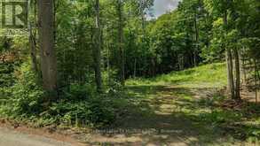 0000 RIL LAKE ROAD S | Baysville Ontario | Slide Image Three