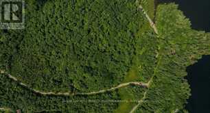 0000 RIL LAKE ROAD S | Baysville Ontario | Slide Image Four