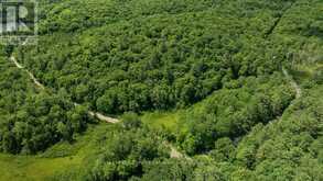 0000 RIL LAKE ROAD S | Baysville Ontario | Slide Image Six