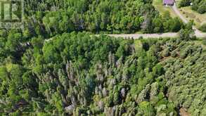 0 BARRETT ROAD | Parry Sound Ontario | Slide Image Twelve