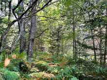 0 BARRETT ROAD | Parry Sound Ontario | Slide Image Fifteen